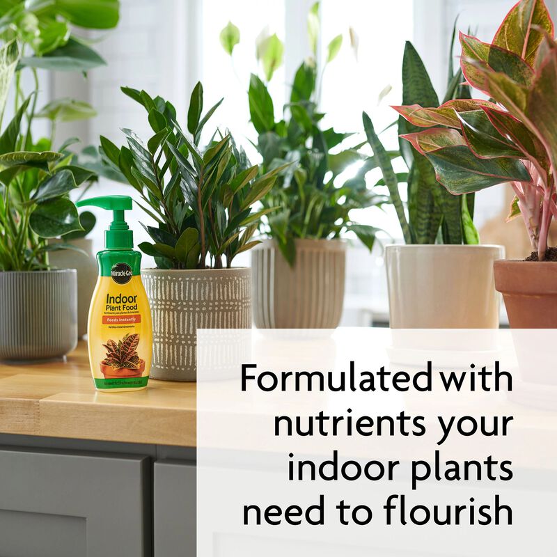 Miracle-Gro® Indoor Potting Mix and Miracle-Gro® Indoor Plant Food image number null
